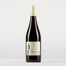 Herve Villemade Vin de France Gamay '22