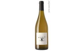Dom Puech-Redon Pour De Vrai Petillant Naturel Blanc '23